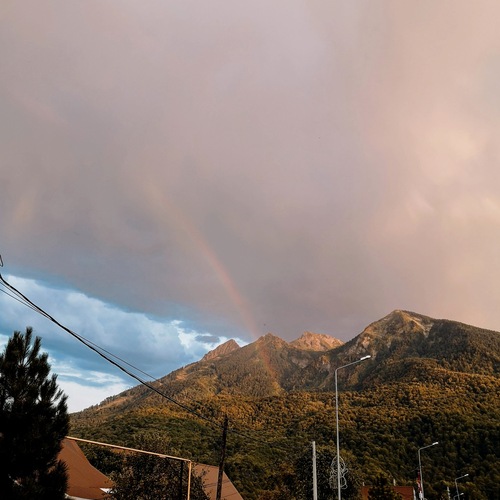 Photo #14054506