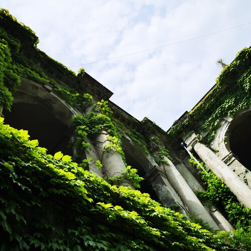 Photo #14054533