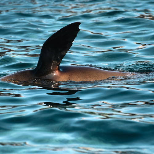 Photo #14054534