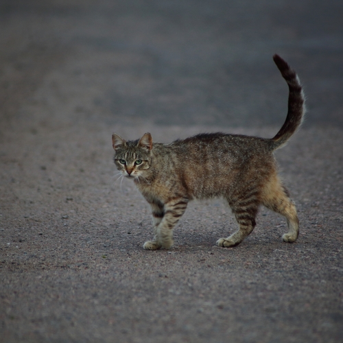 Photo #14054561