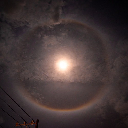 Photo #14054567