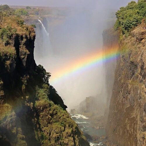 Photo #14054615
