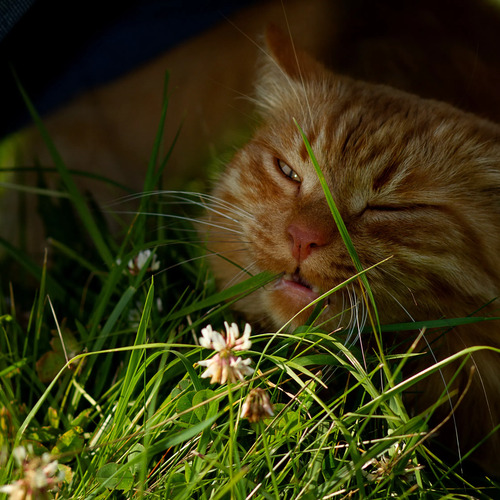 Photo #14054655