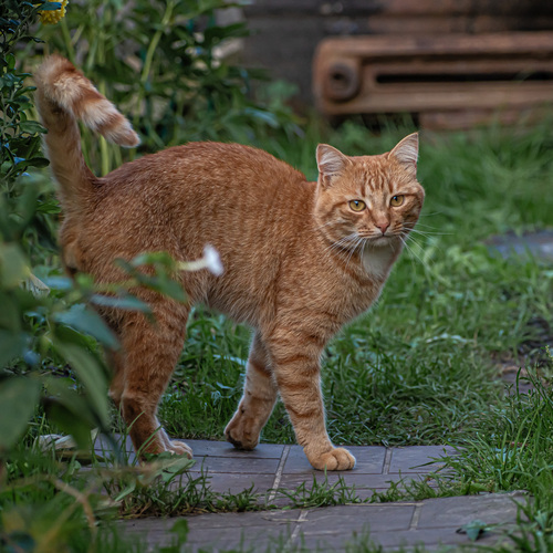 Photo #14054723