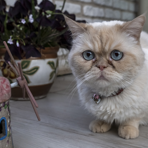 Photo #14054742