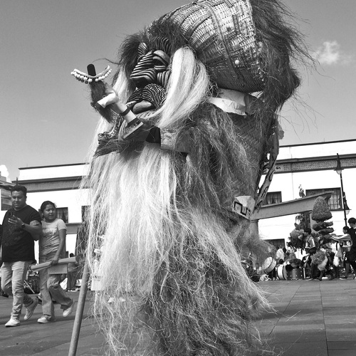 Photo #14054750
