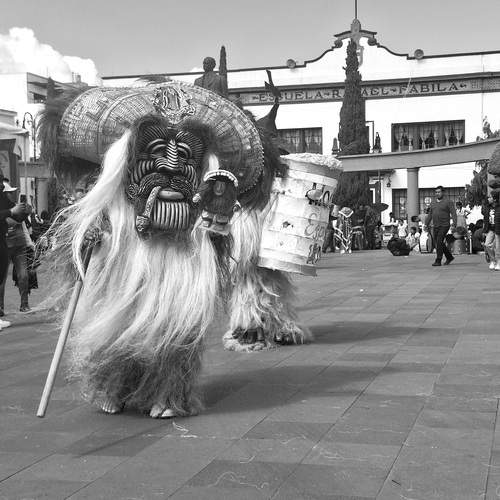 Photo #14054756