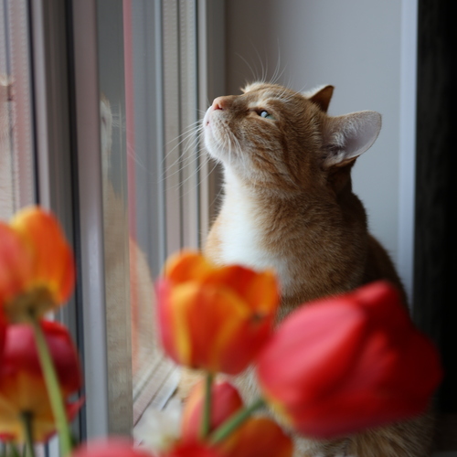 Photo #14054883