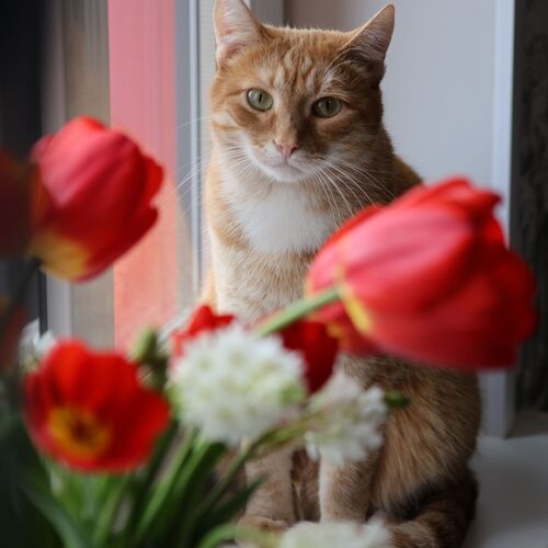 Photo #14054885
