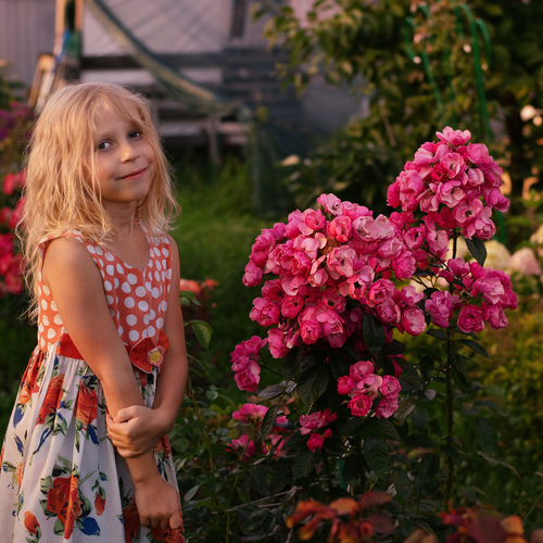 Photo #14054904