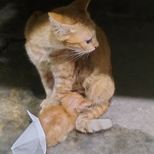 Photo #14054928