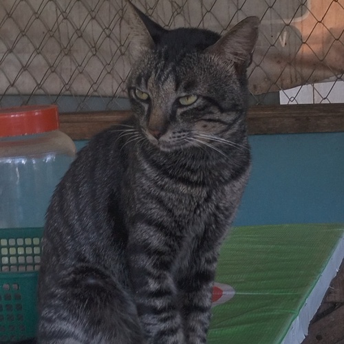 Photo #14054932