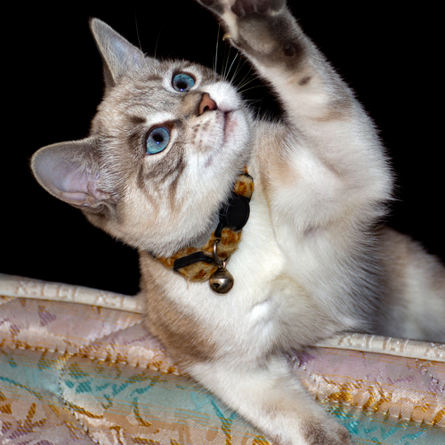 Photo #14054966