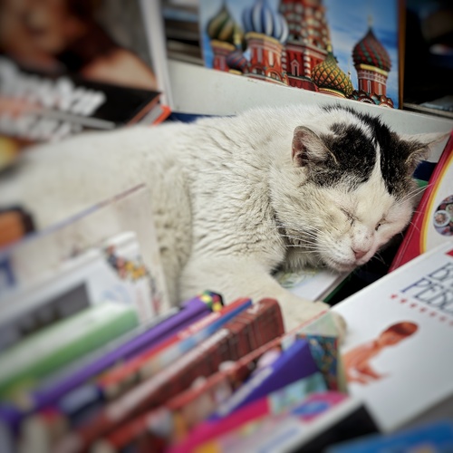 Photo #14054980