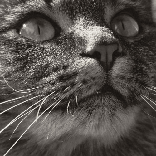 Photo #14054994