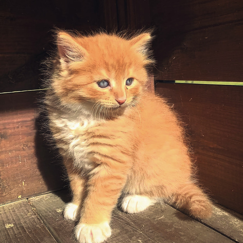 Photo #14055174