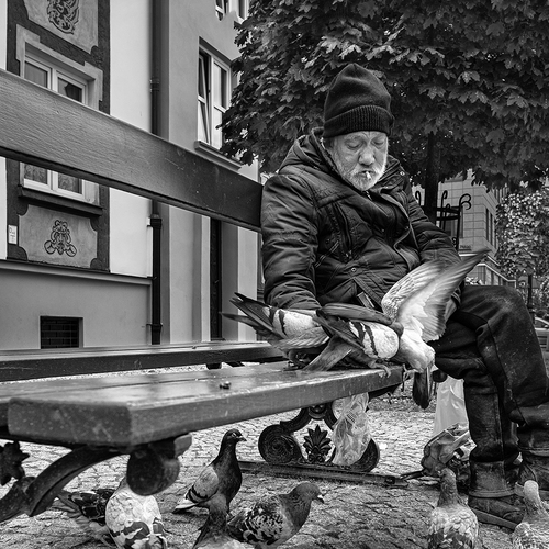 Photo #14055249