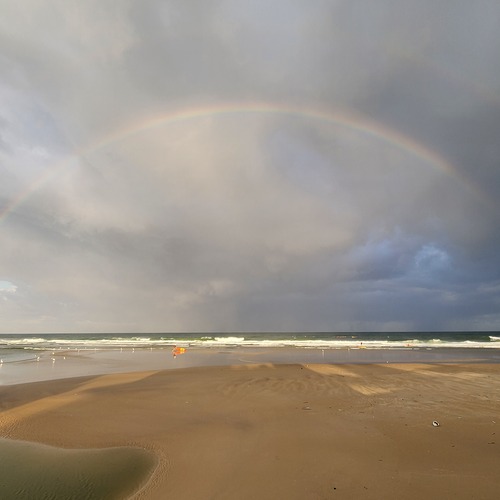Photo #14055264