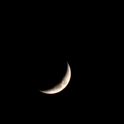 Photo #14055267