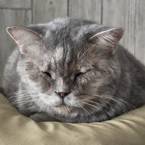 Photo #14055276
