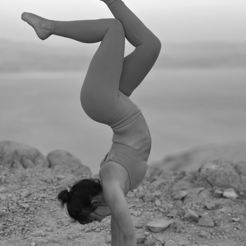 Photo #14055302