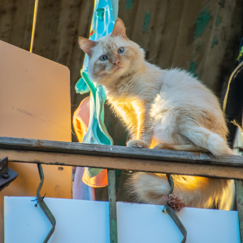 Photo #14055336