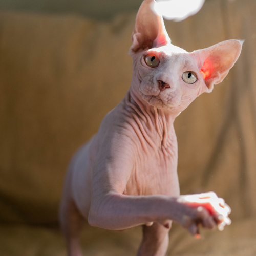 Photo #14055346