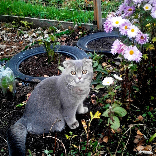 Photo #14055389