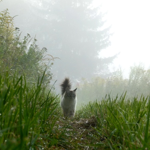 Photo #14055444