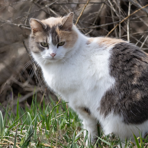 Photo #14055475