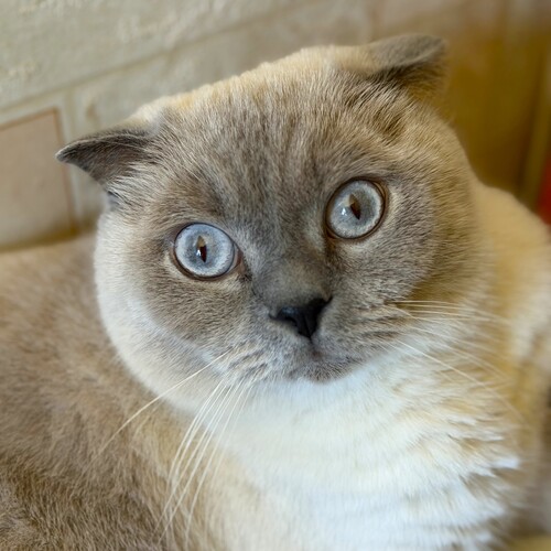 Photo #14055499