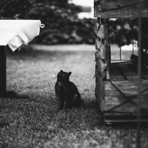 Photo #14055505