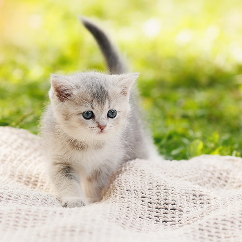 Photo #14055506
