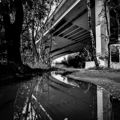 Photo #14055565