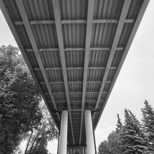 Photo #14055567