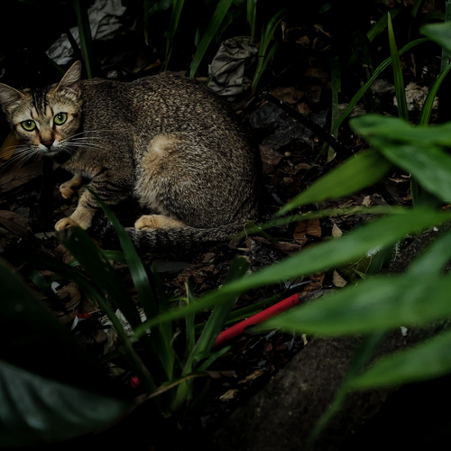 Photo #14055568