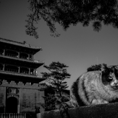 Photo #14055569