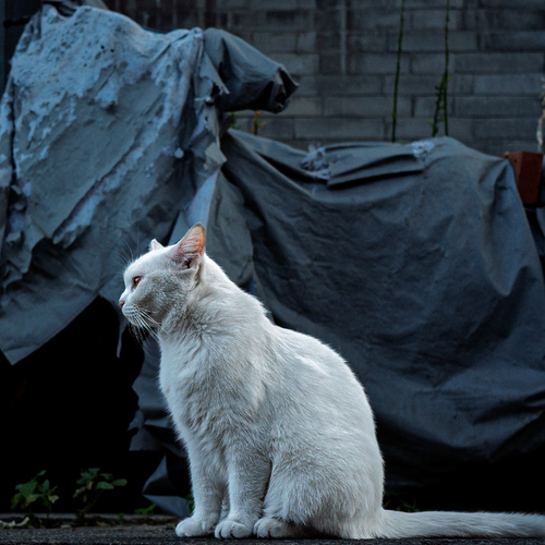 Photo #14055572