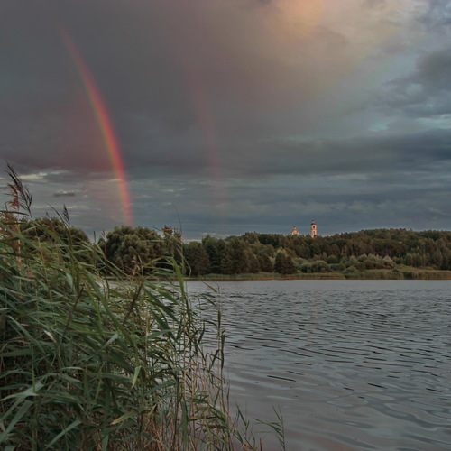 Photo #14055575