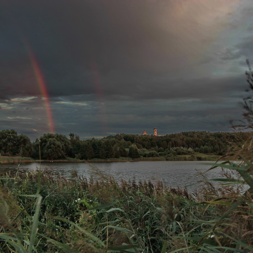 Photo #14055576