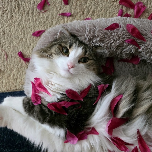 Photo #14055584
