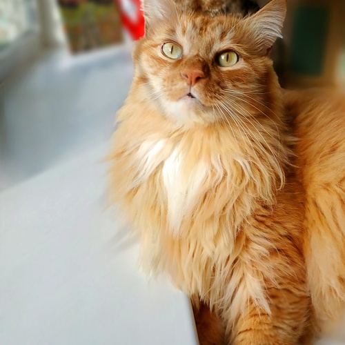 Photo #14055604