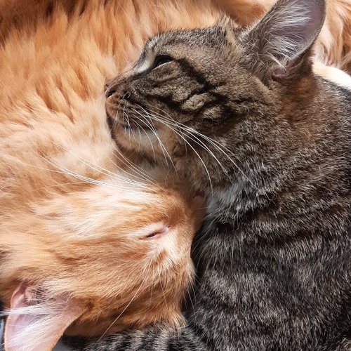 Photo #14055605