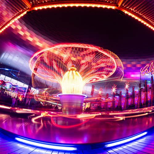 Photo #14055611