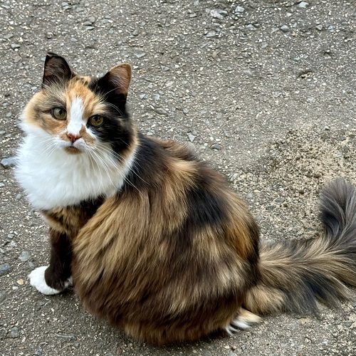 Photo #14055619
