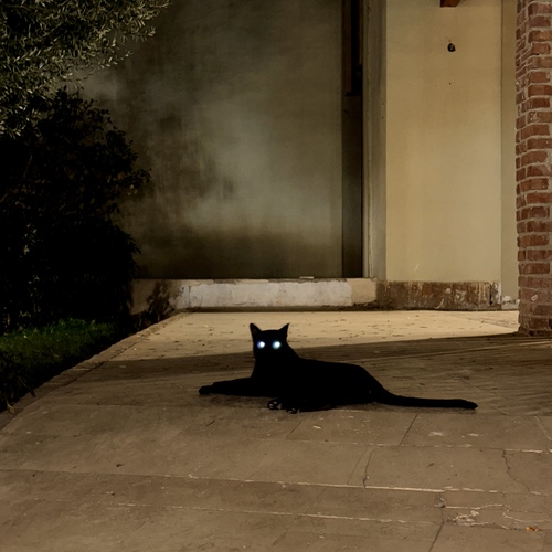 Photo #14055641