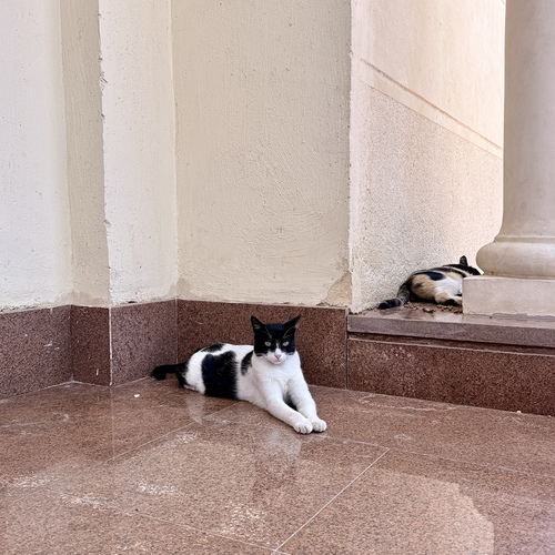 Photo #14055661