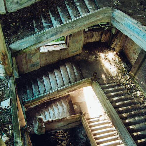 Photo #14055668