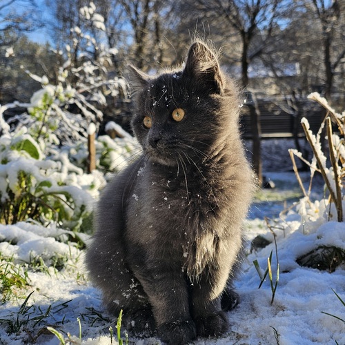 Photo #14055685