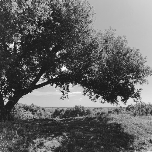 Photo #14055689